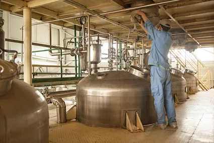 Sirop à haute teneur en maltose